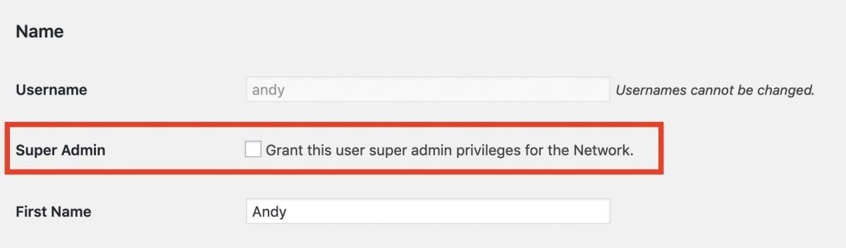 Grant Super Admin option in the WordPress Network Admin